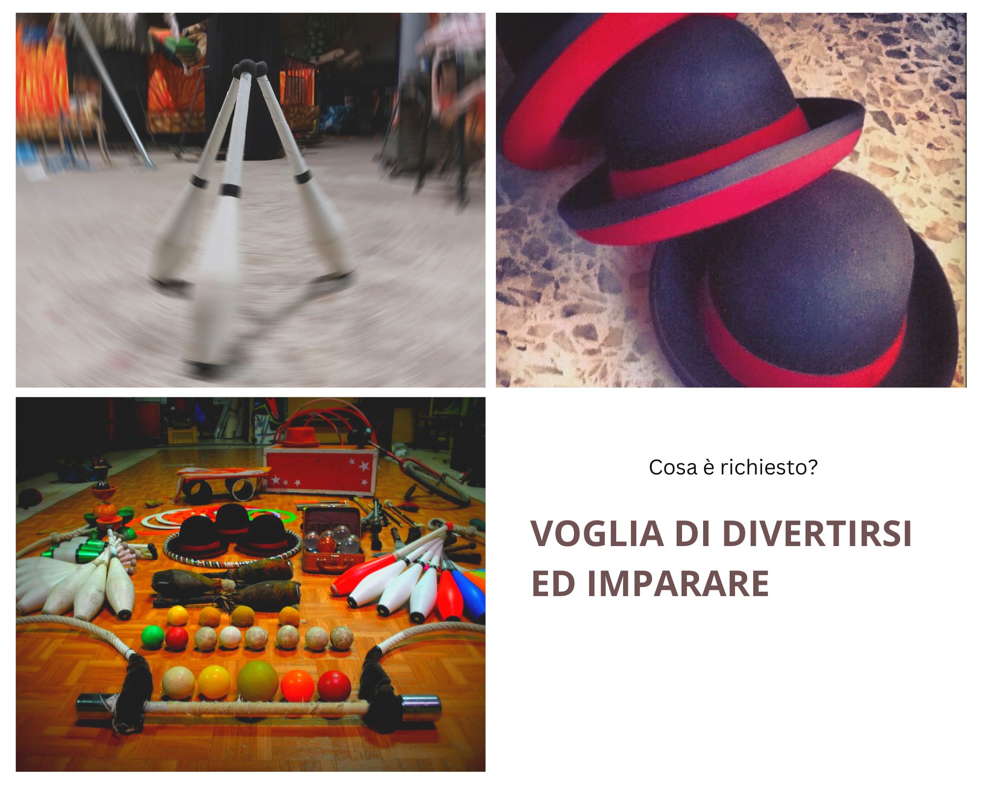 Academy Circus Settembre 2024